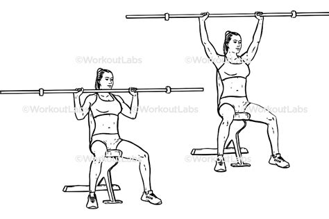 barbell shoulder press overhead press workoutlabs exercise guide