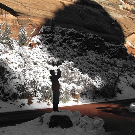 Winter Pictures – A Digital Exhibition by Andy Adams and Jon Feinstein