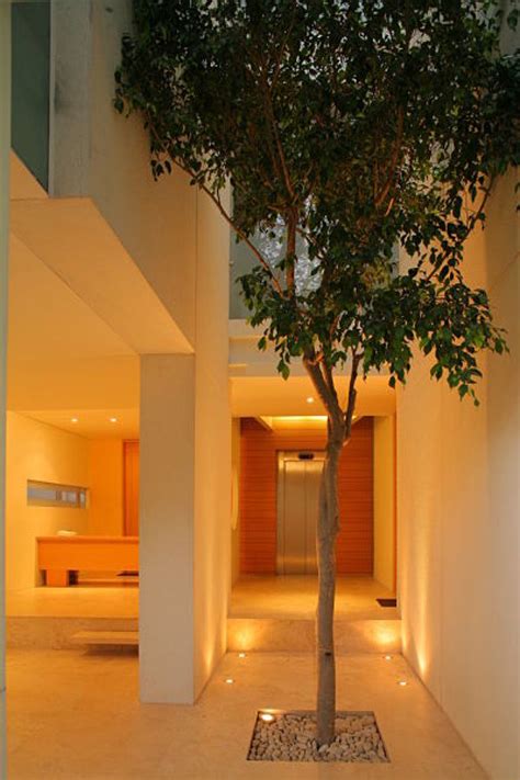 foto vestibulo de tellez arquitecto  habitissimo