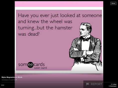 Pin by Heidi Sauls on Funny | Someecards, Funny, Ecard meme