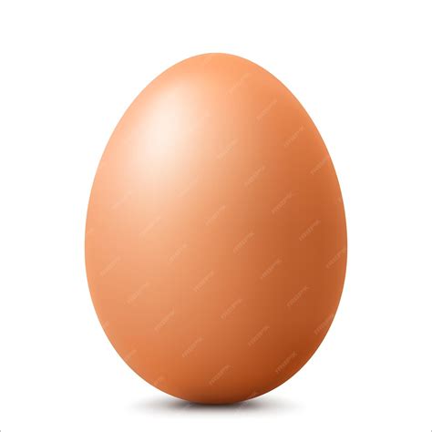 Premium Vector | Brown single animal egg chicken egg with soft shadows