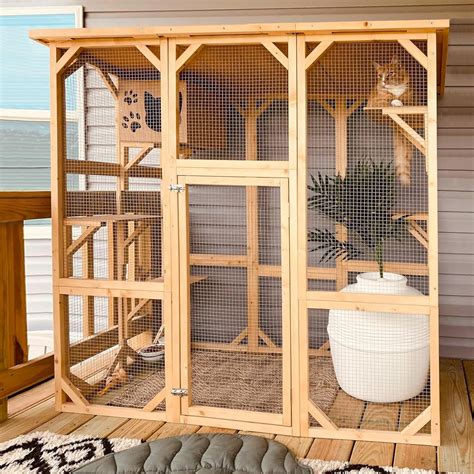 cat house indoor 5