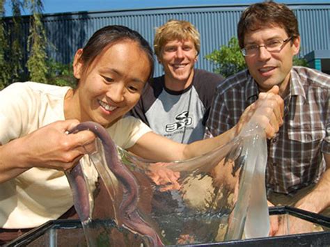 Pacific Hagfish Habitat