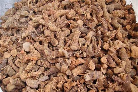 Корень галангал / Galanga Root | fresh365 - свежая зелень и ягоды ...