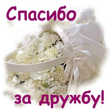 Спасибо подруга за дружбу картинки