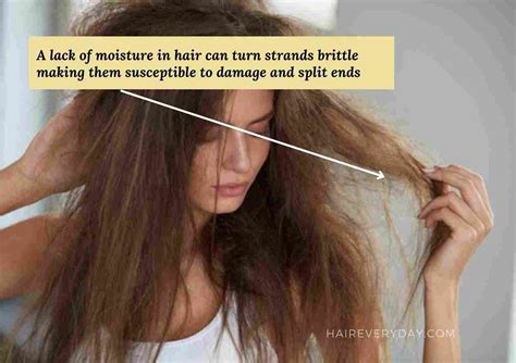 What Causes Split Ends | Expert Reveals Top 8 Reasons For Hair Damage ...