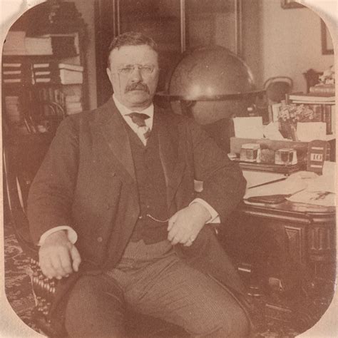 teddy roosevelt discusses trust busting teaching american history