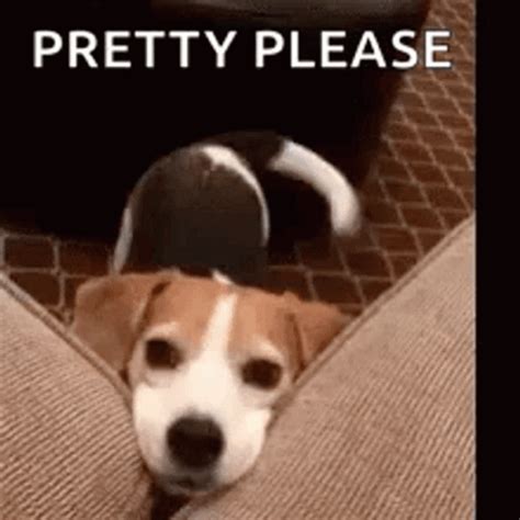 pretty  gifs gifdbcom