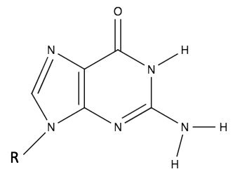 Draw the hydrogen bond(s) between guanine and cytosine: | Homework ...