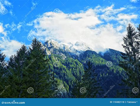 Баварские Альпы, горная цепь в южной Германии Стоковое Фото ...