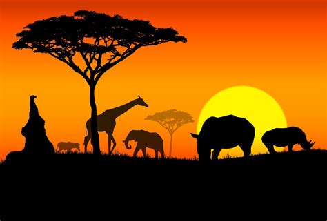 What is Africa Known For?