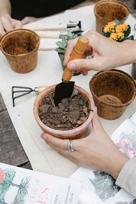 For Peat's Sake: UK list of 100% peat-free nurseries and growers | Good ...