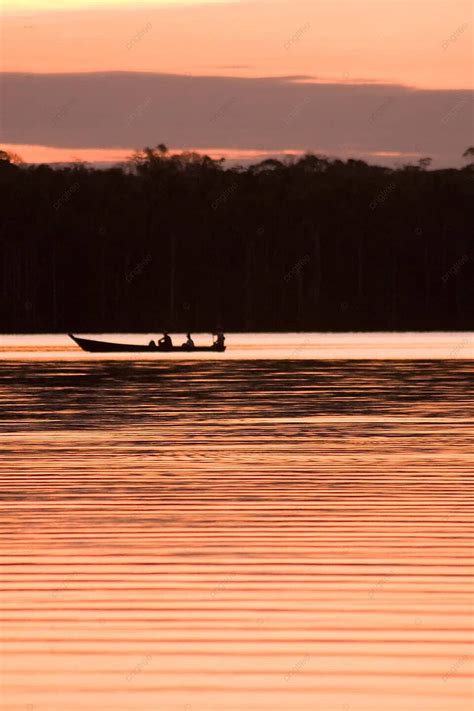 Lake Sandoval Nature Peru Forest Photo Background And Picture For Free ...