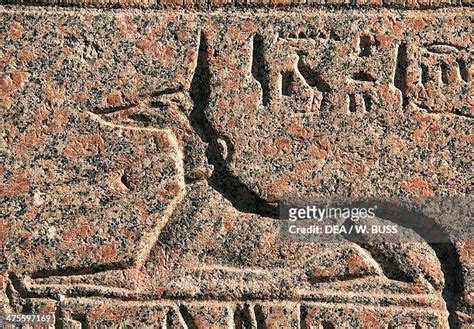 215 Egyptian Jackal Stock Photos, High-Res Pictures, and Images - Getty ...