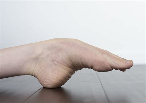 Point (Plantarflexion) vs. Flex (Dorsiflexion) your feet in Yoga — Lana