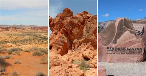 Las Vegas Travel Guide - Lively Las Vegas