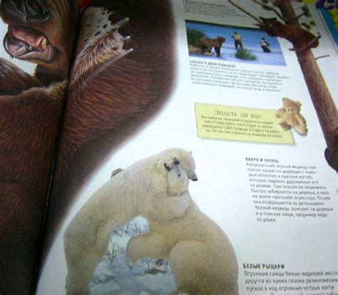Книга: Гигантская энциклопедия живого мира - Тина Канделаки. Купить ...
