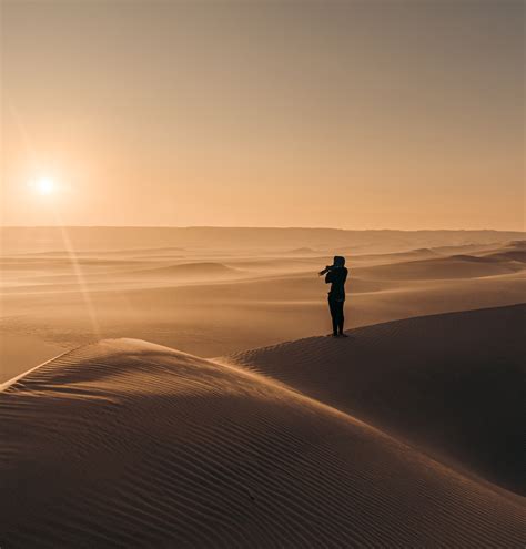 Scenes from the Sahara: the Berbers and Bedouins of Egypt's desert