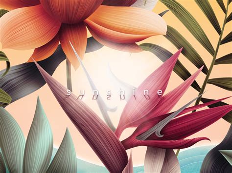 Sunshine Single Artwork Cover by Nadia Sarmientos on Dribbble