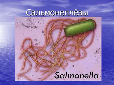 Заболевания пищеварительного тракта - online presentation
