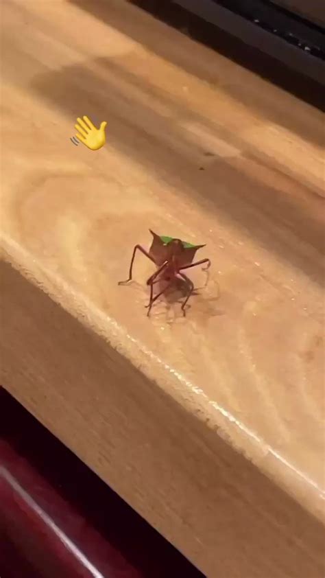 biltek   twitter httpstcoujqbqcneso twitter