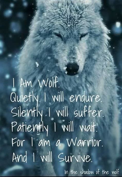 Wolf Quotes « WolfSpirits