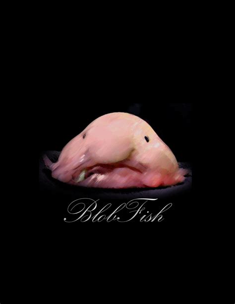 Blobfish Wallpapers - Top Free Blobfish Backgrounds - WallpaperAccess