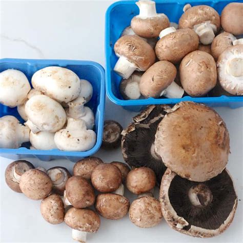 All About Mushrooms | Living Well Kitchen