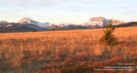 North America's Northern Great Plains | IUCN