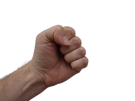 fist png - Clip Art Library