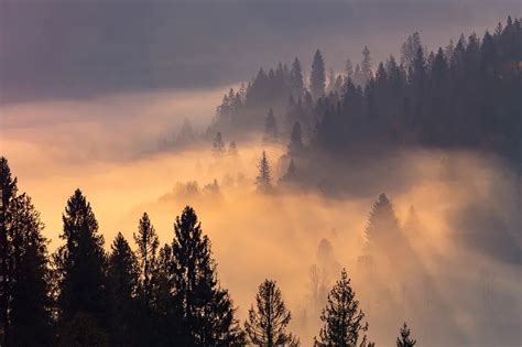 bill pullen  linkedin polarity management  practice cultivating