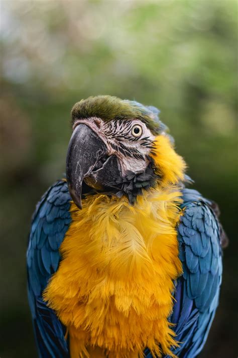 Close+Up+Big+Labia Photos, Download The BEST Free Close+Up+Big+Labia