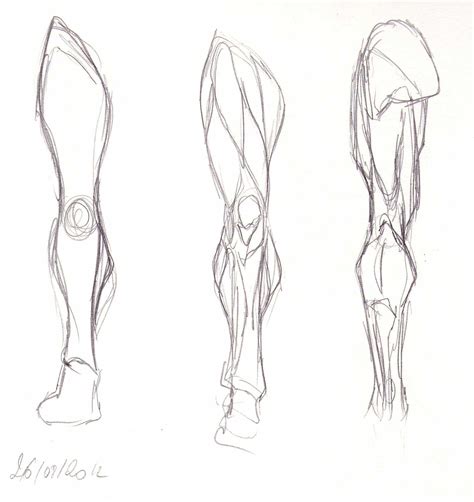 Blog de Claire Matz: Croquis - Muscles du bras et de la jambe