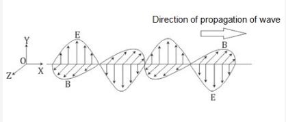 What is meant by transverse nature of electromagnetic waves? - CBSE ...