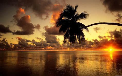 HD Computer Desktop Wallpapers (79+ images)
