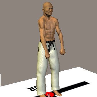 Todos los Katas de Karate: HEIAN SANDAN PASO A PASO Y CON DETALLES