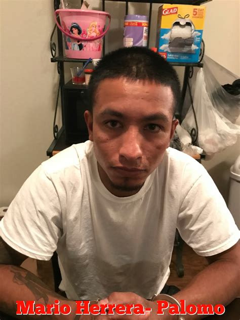 Accessing Recent Bexar County Sheriff Arrest Records 27