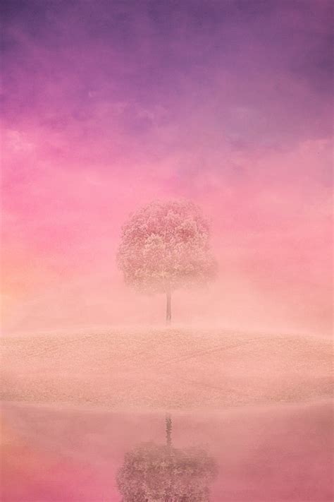 Tree Lake Nature - Free photo on Pixabay - Pixabay