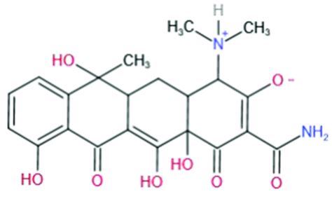 Molecular structural formula of TC. | Download Scientific Diagram