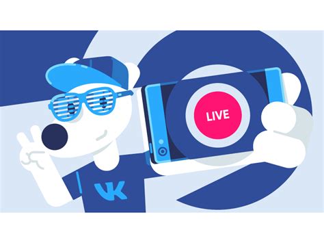 VK LIVE by Dmitry Stolz on Dribbble