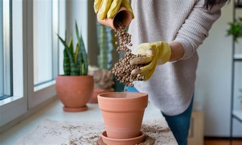 Как выбрать дренаж для рассады советы от GardenDecor