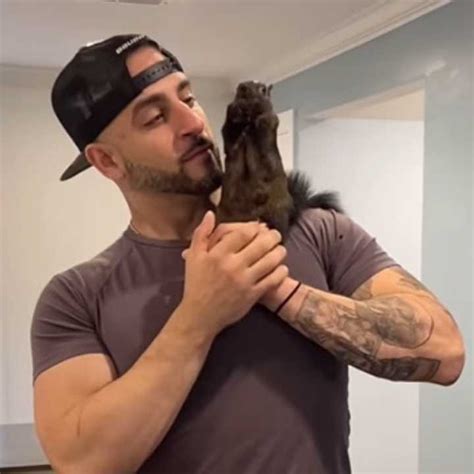 Euthanasia Of 'Peanut The Squirrel' Sparks Viral Outrage; Lawmaker ...