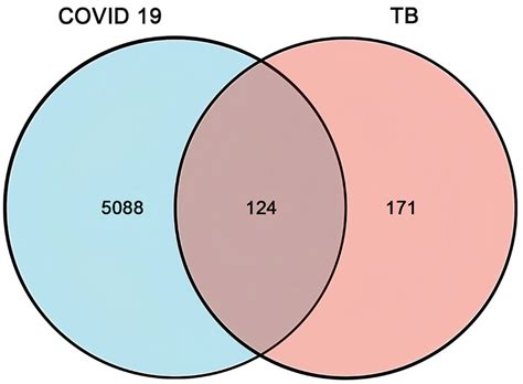 Common DEGs of COVID-19 and TB representation through a venn diagram ...