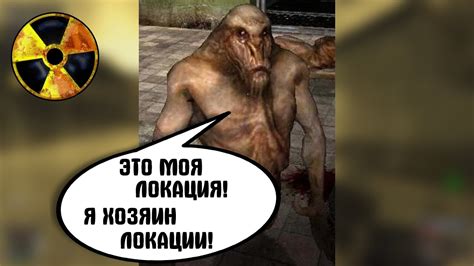 Полтергейст захватил всю локацию. STALKER Золотой Шар. Завершение #34 ...