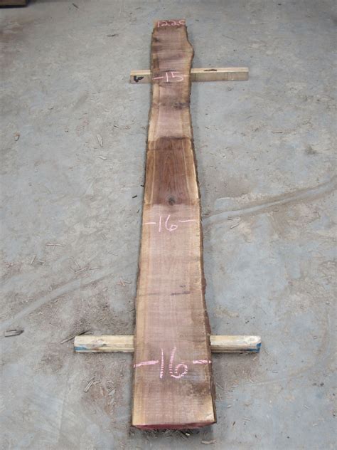 Xenia Wood Xenia Wood Pinterest Woods