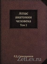 Атлас Анатомии человека 2 том. Р.Д. Синельников » Zetlex.net ...