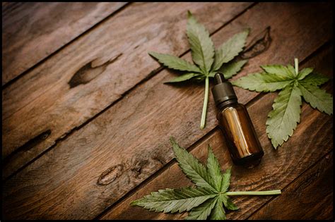Nano-Powered CBD Oil: Exploring Its Astounding Future With Enhanced ...