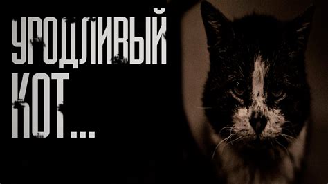 Уродливый кот (Стих) - YouTube