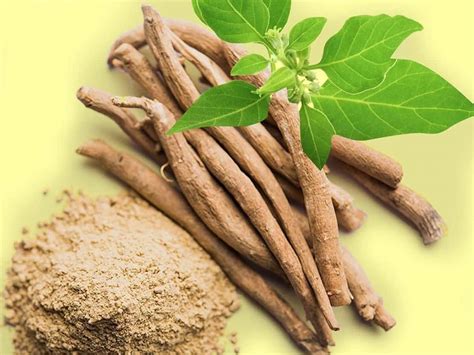 Benefits of Ashwagandha: Why People Should Include It In Their Diet ...