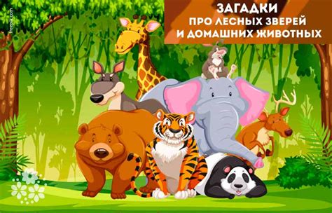 Загадки про зверей и домашних животных для детей с ответами